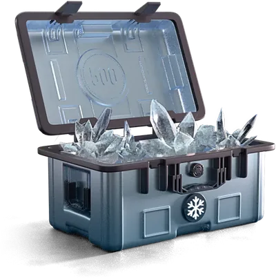 Winter Whisper case on CSGO500